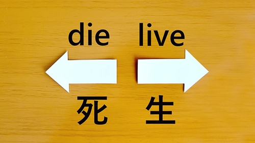 /lifestyle/1343478